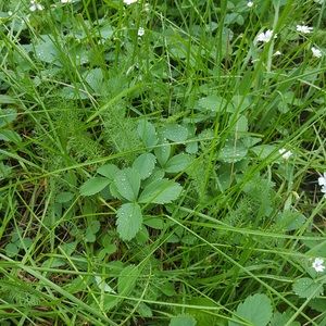 Meet your Posher, Kassi